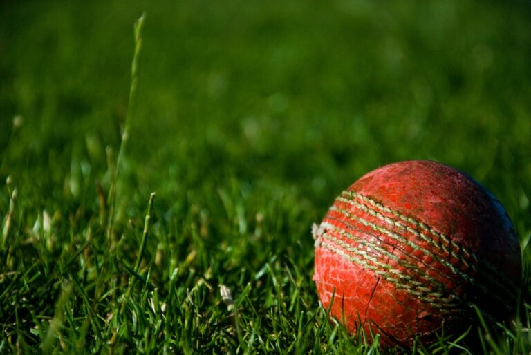 Cricket Ball On Field | Cricket Today
