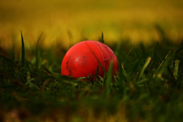Close Up Of Cricket Ball | Cricket Today