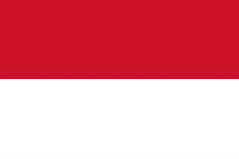 Indonesia Cricket Team Flag | Cricket Today