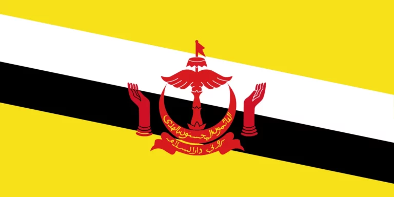 Brunei Cricket Team Flag | Cricket Today