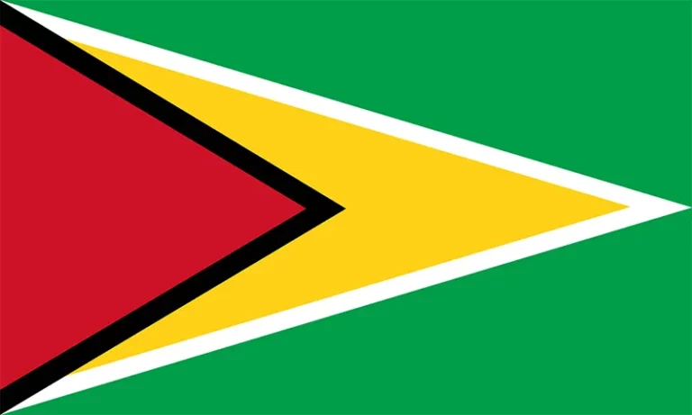 Guyana National Cricket Team Flag | Cricket Today