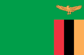 Zambia Cricket Team Flag | Cricket Today
